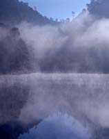 Tous les matins d’hiver, la brume envahie les lacs.