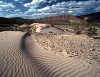 Les dunes de Boquillas.