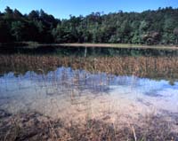 Laguna Esmeralda