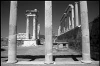 Les colonnes du temple de Trajan et de la bibliothèque.