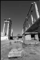 Les colonnes du temple de Trajan et de la bibliothèque.